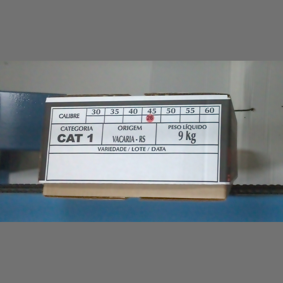 Candidata do calibre · central · 960 utilizado na inferência