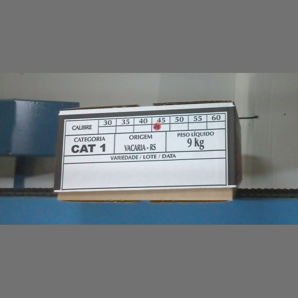 Candidata do calibre · central · 960 utilizado na inferência