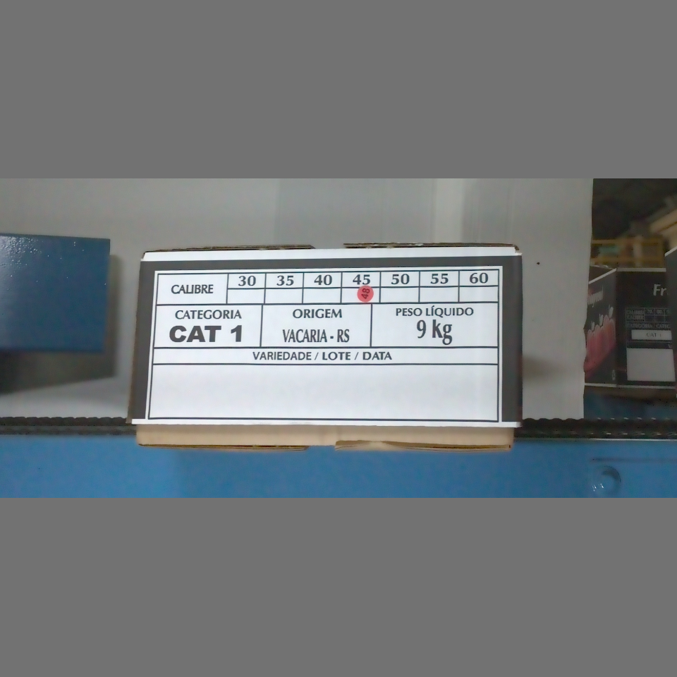 Candidata do calibre · central · 960 utilizado na inferência