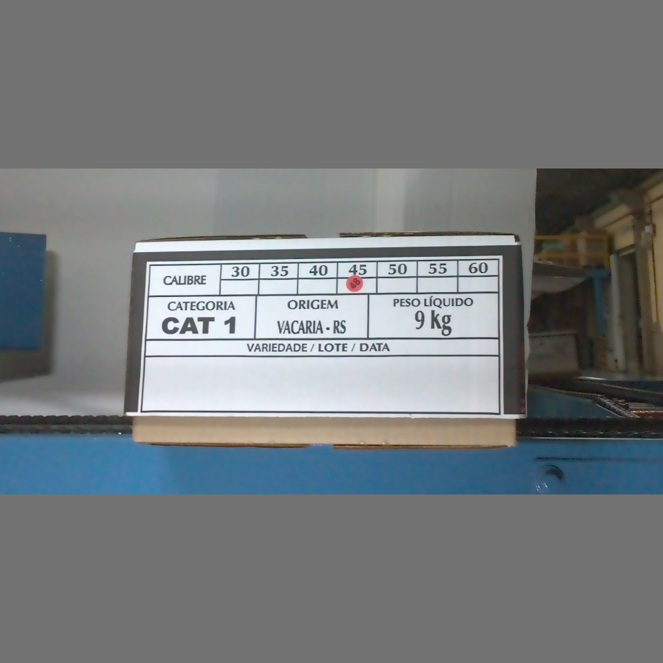 Candidata do calibre · central · 960 utilizado na inferência