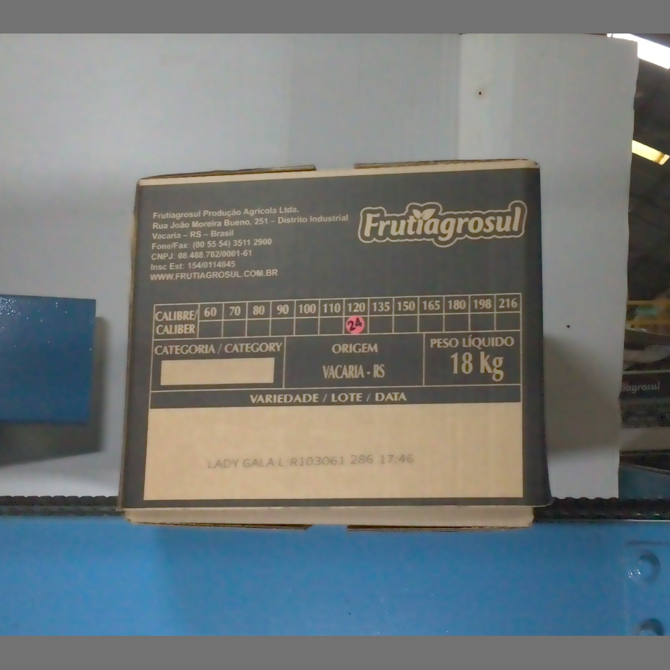 Candidata do calibre · central · 960 utilizado na inferência