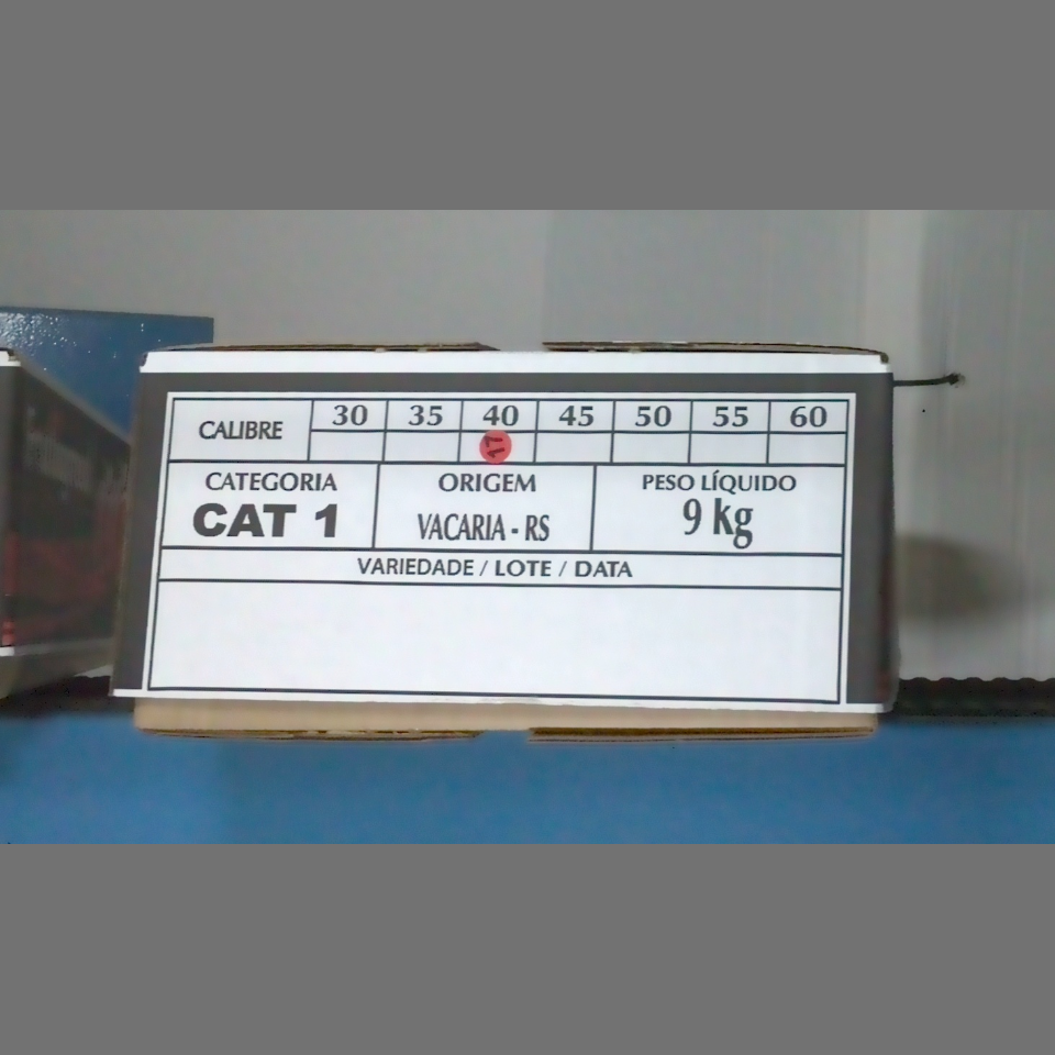 Candidata do calibre · central · 960 utilizado na inferência