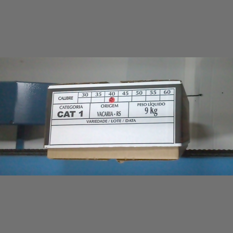 Candidata do calibre · central · 960 utilizado na inferência