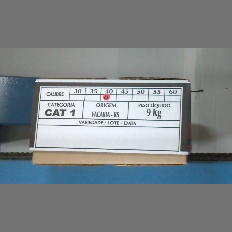 Candidata do calibre · central · 960 utilizado na inferência