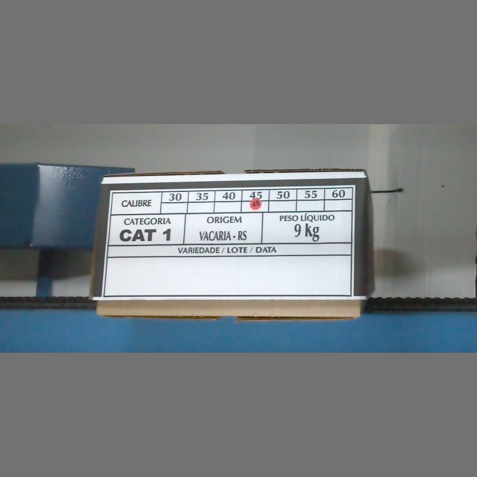 Candidata do calibre · central · 960 utilizado na inferência