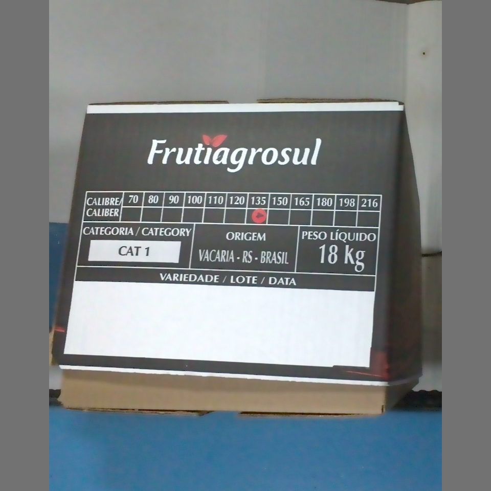 Candidata do calibre · central · 960 utilizado na inferência