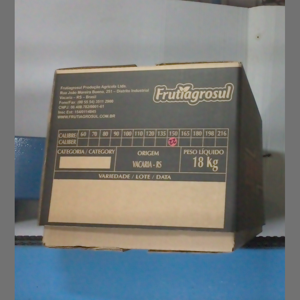 Candidata do calibre · central · 960 utilizado na inferência