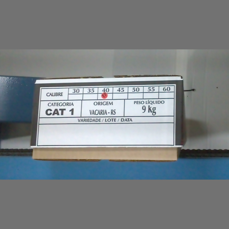 Candidata do calibre · central · 960 utilizado na inferência