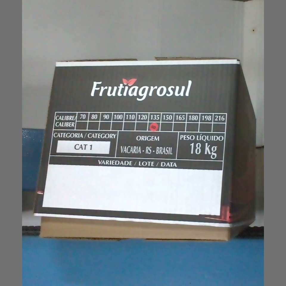Candidata do calibre · central · 960 utilizado na inferência