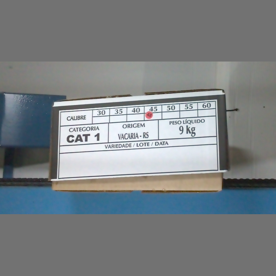 Candidata do calibre · central · 960 utilizado na inferência