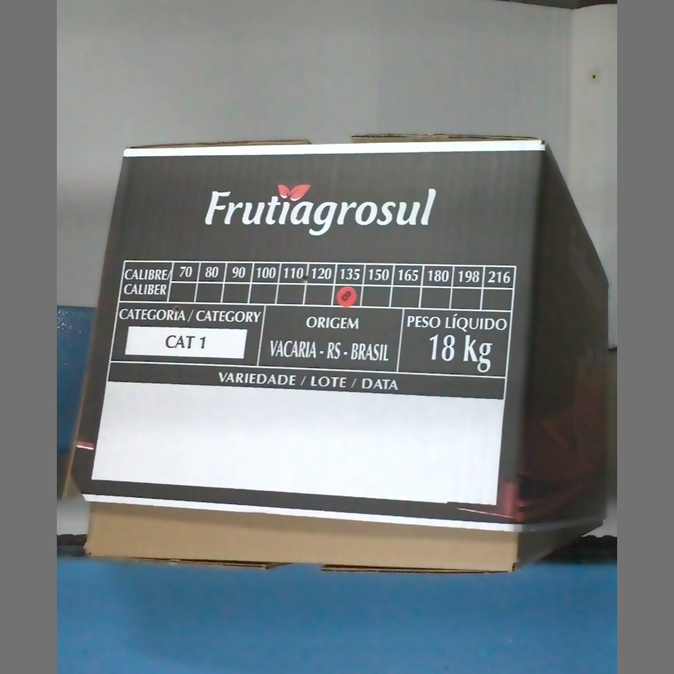 Candidata do calibre · central · 960 utilizado na inferência