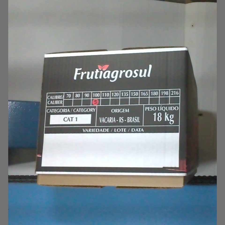 Candidata do calibre · central · 960 utilizado na inferência