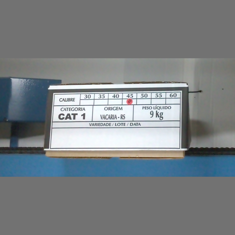 Candidata do calibre · central · 960 utilizado na inferência