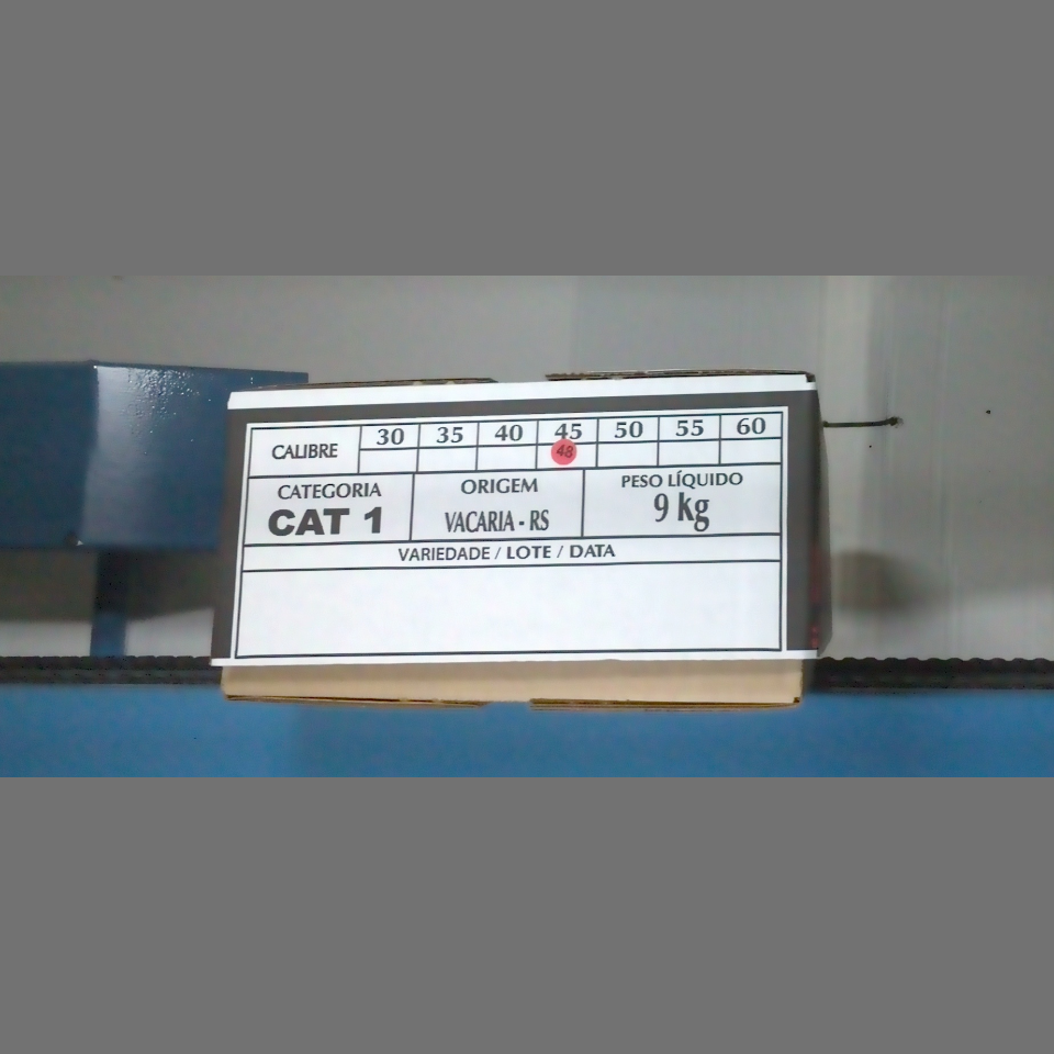 Candidata do calibre · central · 960 utilizado na inferência