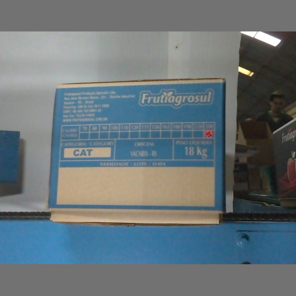 Candidata do calibre · central · 960 utilizado na inferência