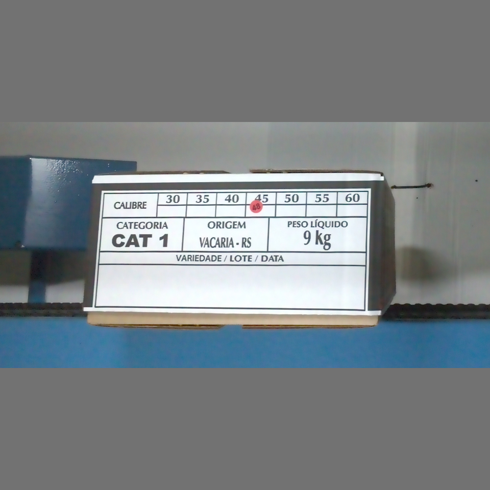 Candidata do calibre · central · 960 utilizado na inferência