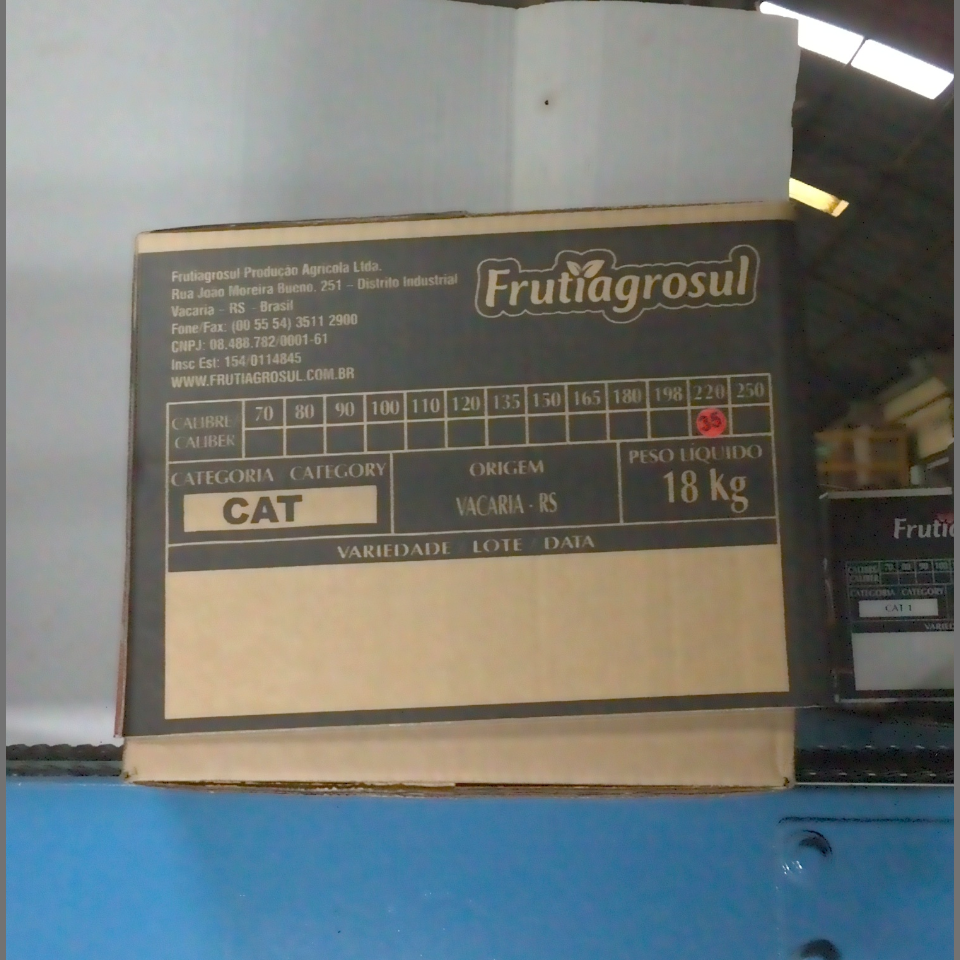Candidata do calibre · central · 960 utilizado na inferência