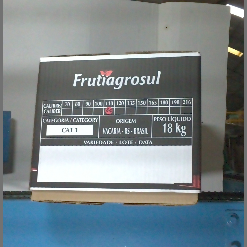 Candidata do calibre · central · 960 utilizado na inferência