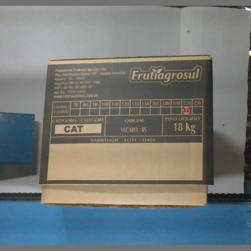 Candidata do calibre · central · 960 utilizado na inferência
