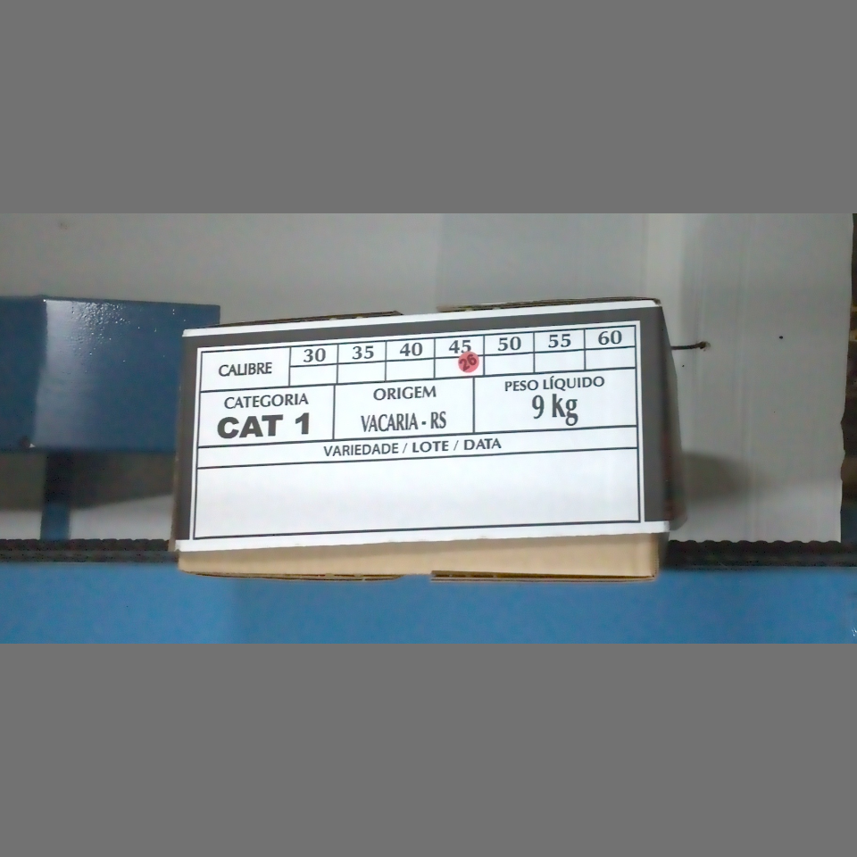 Candidata do calibre · central · 960 utilizado na inferência