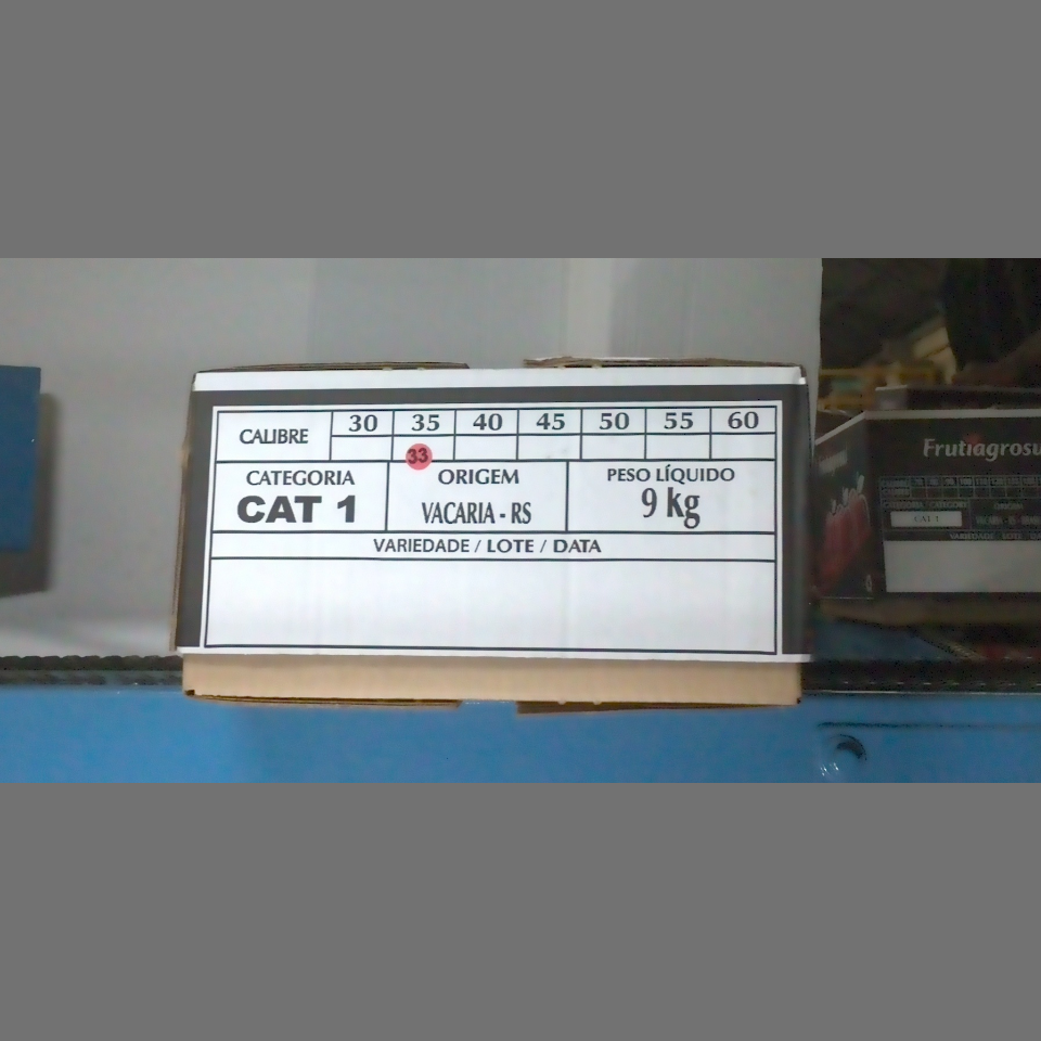 Candidata do calibre · central · 960 utilizado na inferência