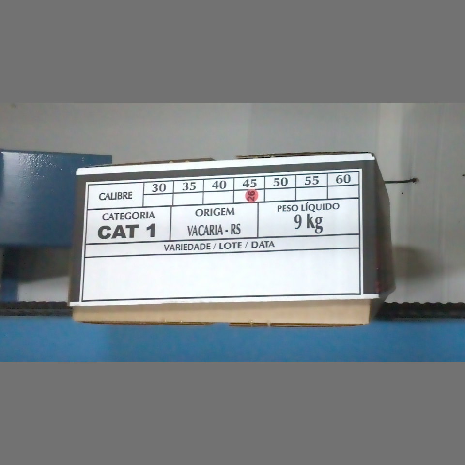 Candidata do calibre · central · 960 utilizado na inferência