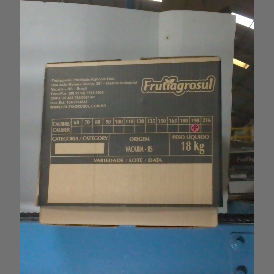 Candidata do calibre · central · 960 utilizado na inferência