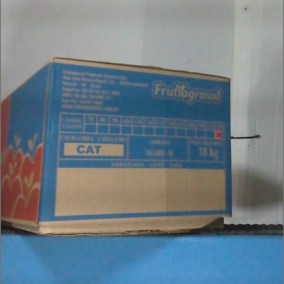 Candidata do calibre · central · 960 utilizado na inferência