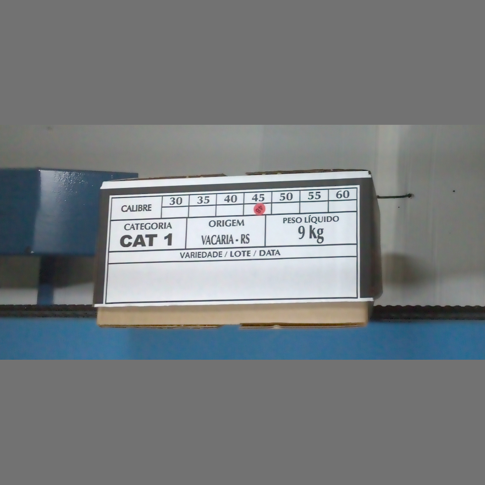 Candidata do calibre · central · 960 utilizado na inferência