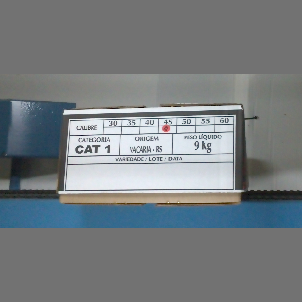 Candidata do calibre · central · 960 utilizado na inferência