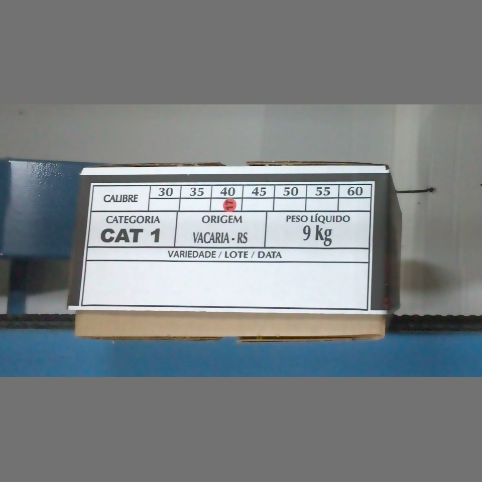 Candidata do calibre · central · 960 utilizado na inferência