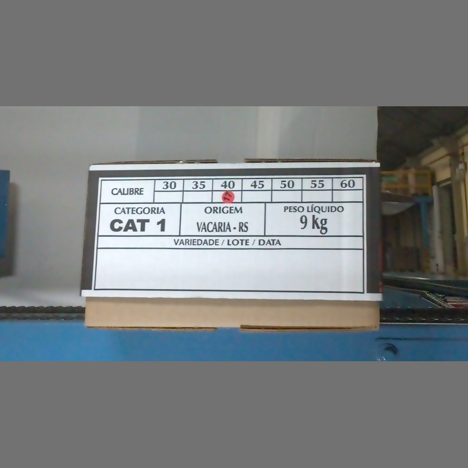 Candidata do calibre · central · 960 utilizado na inferência