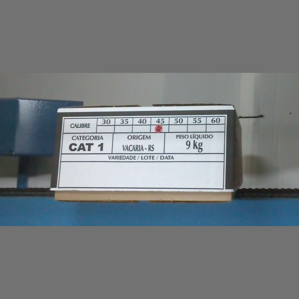 Candidata do calibre · central · 960 utilizado na inferência