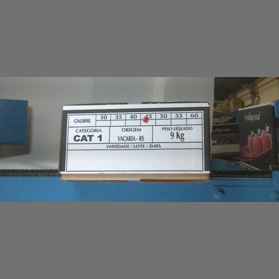 Candidata do calibre · central · 960 utilizado na inferência