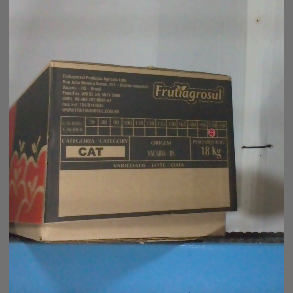Candidata do calibre · central · 960 utilizado na inferência
