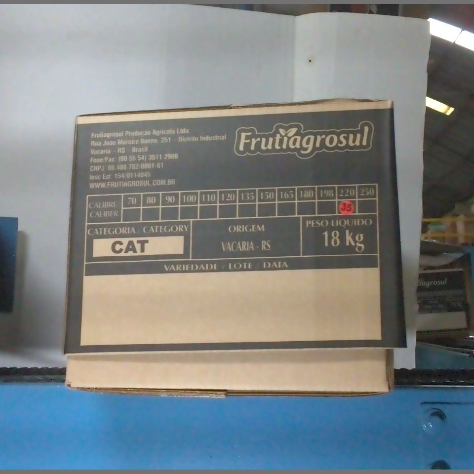 Candidata do calibre · central · 960 utilizado na inferência