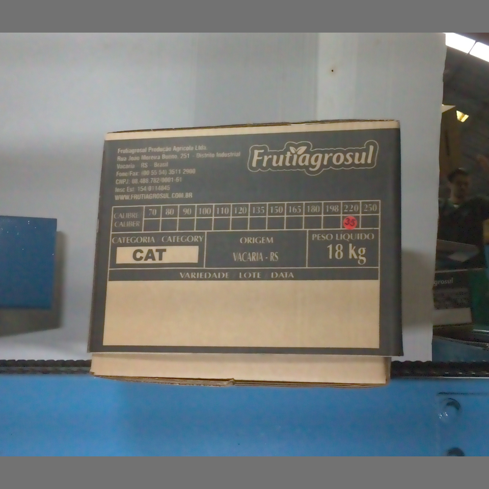 Candidata do calibre · central · 960 utilizado na inferência