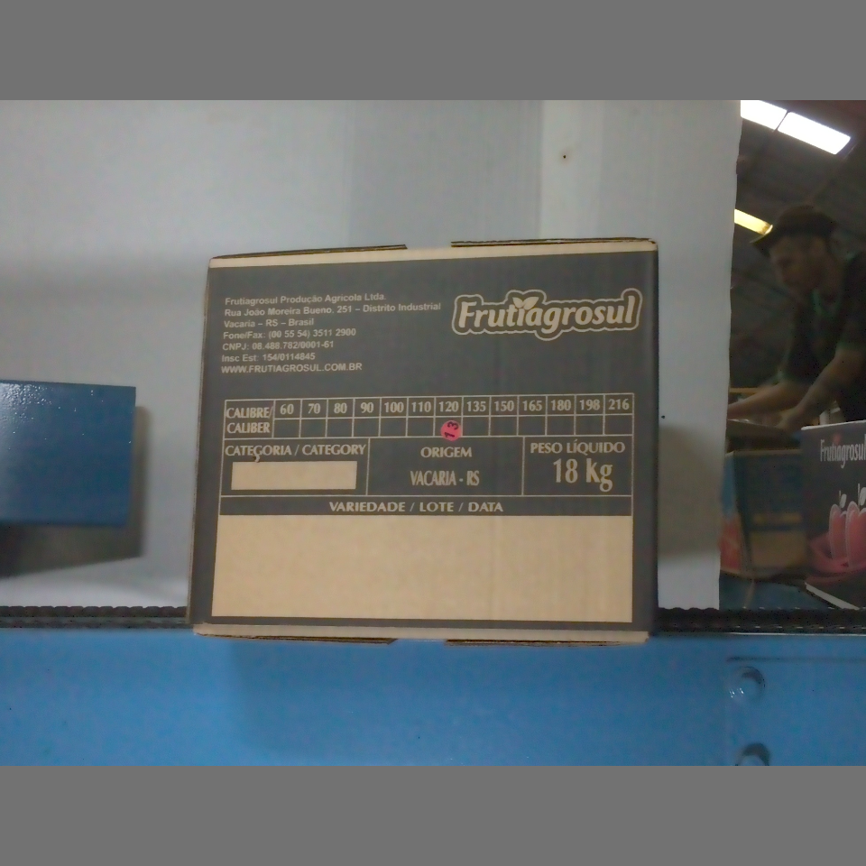 Candidata do calibre · central · 960 utilizado na inferência