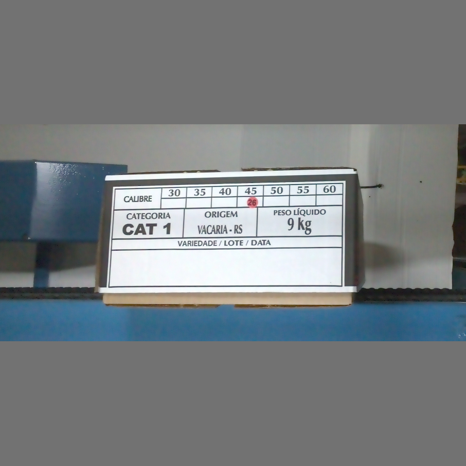 Candidata do calibre · central · 960 utilizado na inferência