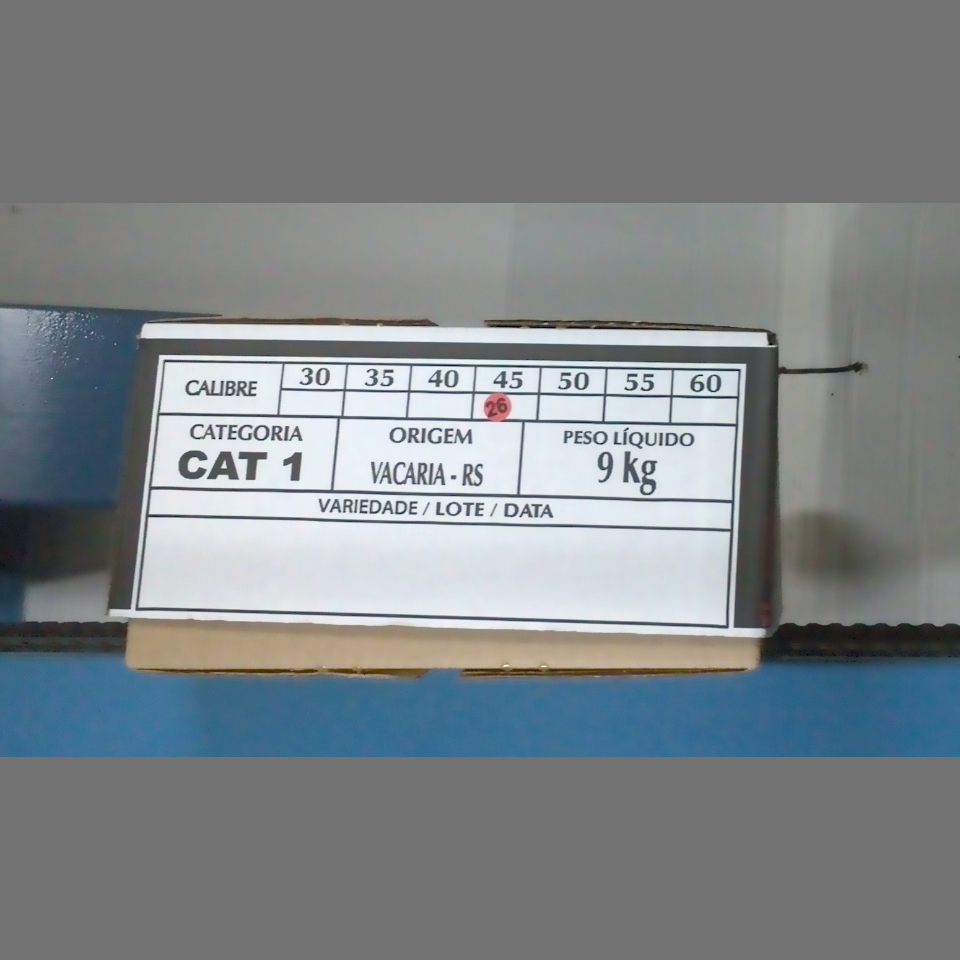 Candidata do calibre · central · 960 utilizado na inferência