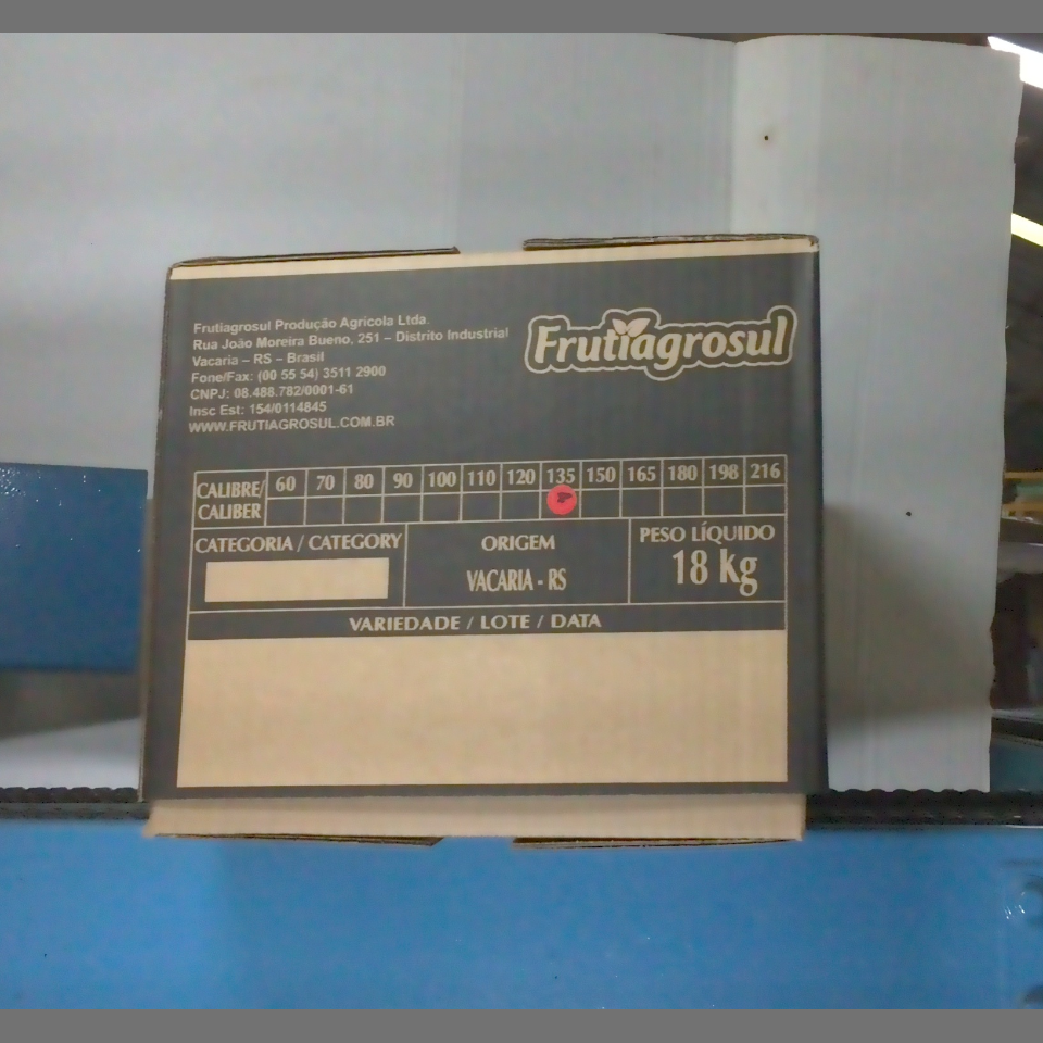 Candidata do calibre · central · 960 utilizado na inferência