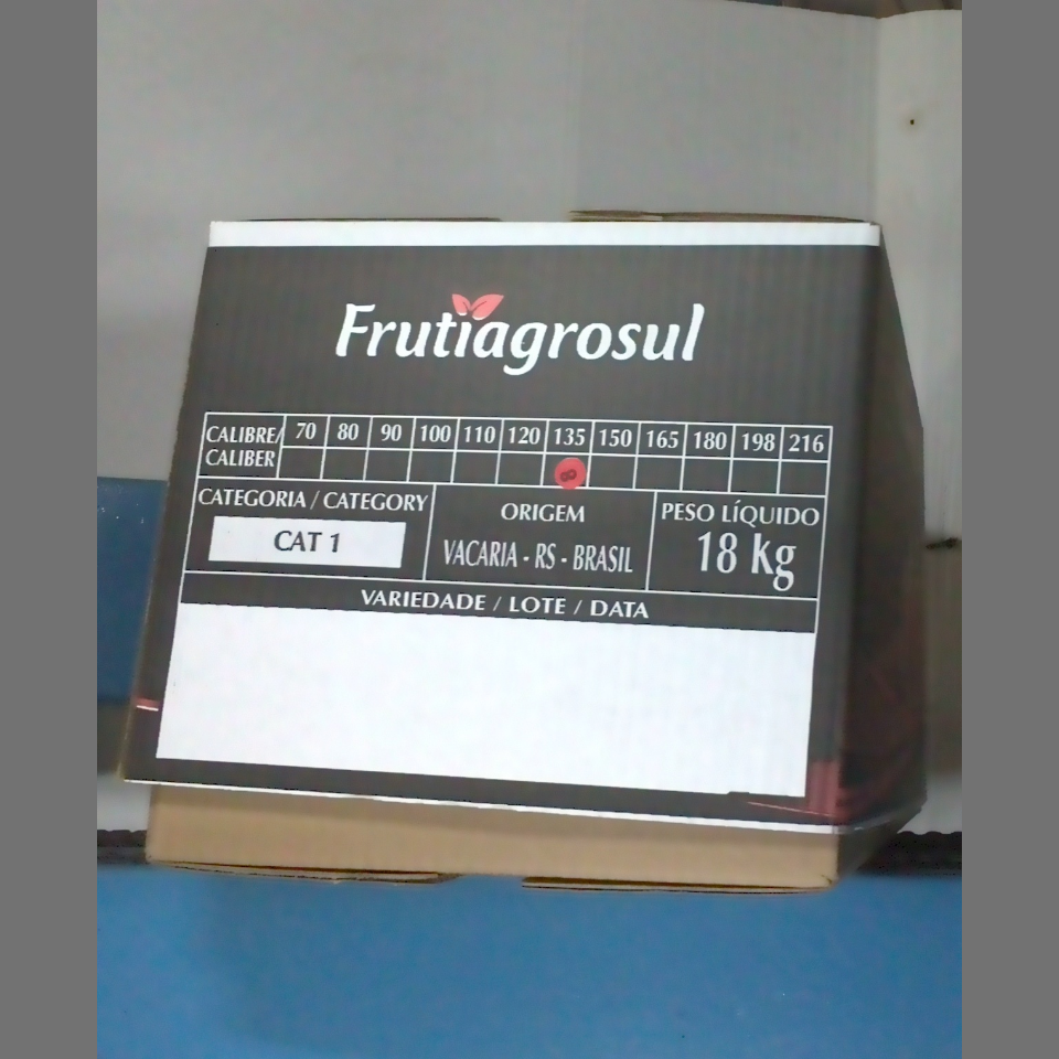 Candidata do calibre · central · 960 utilizado na inferência