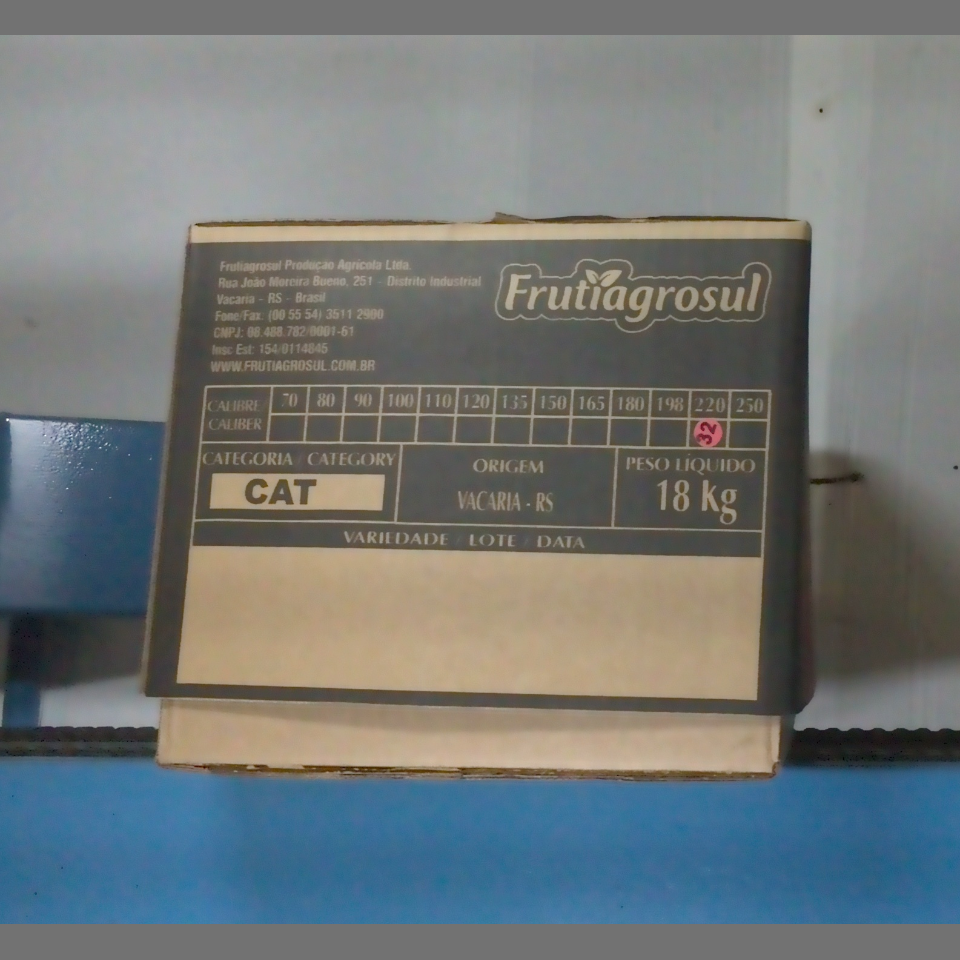 Candidata do calibre · central · 960 utilizado na inferência