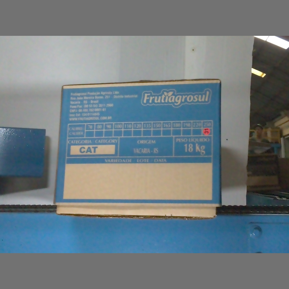 Candidata do calibre · central · 960 utilizado na inferência