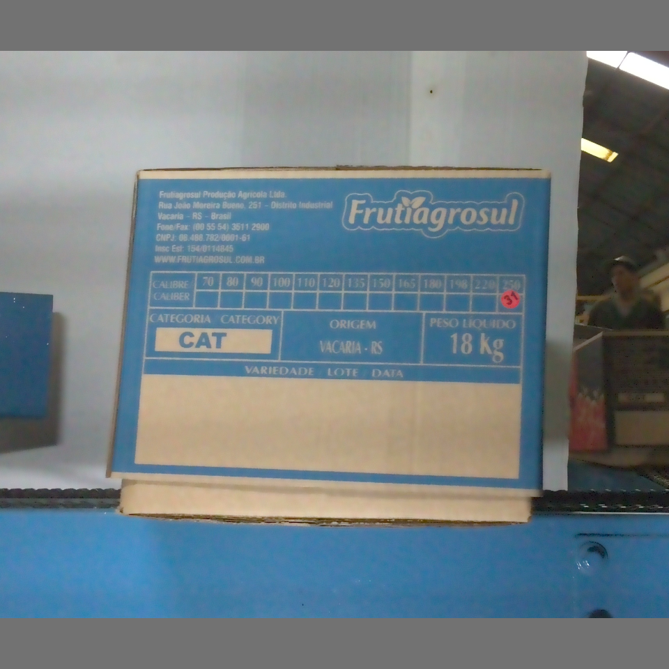 Candidata do calibre · central · 960 utilizado na inferência