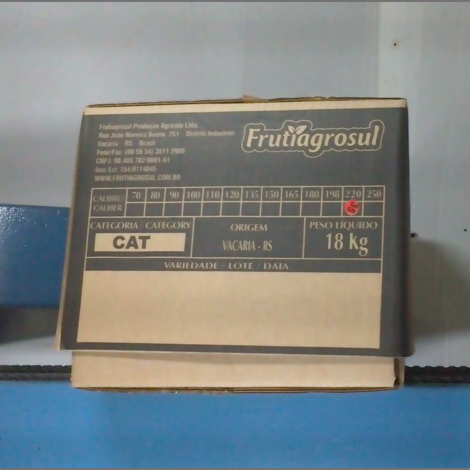 Candidata do calibre · central · 960 utilizado na inferência
