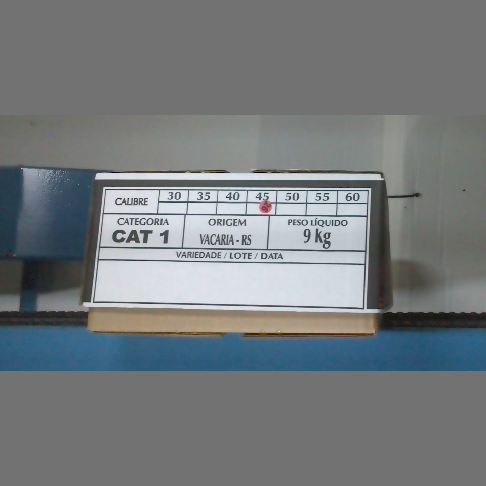 Candidata do calibre · central · 960 utilizado na inferência