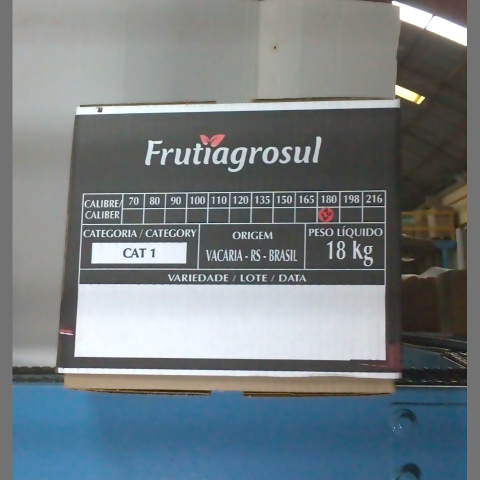 Candidata do calibre · central · 960 utilizado na inferência