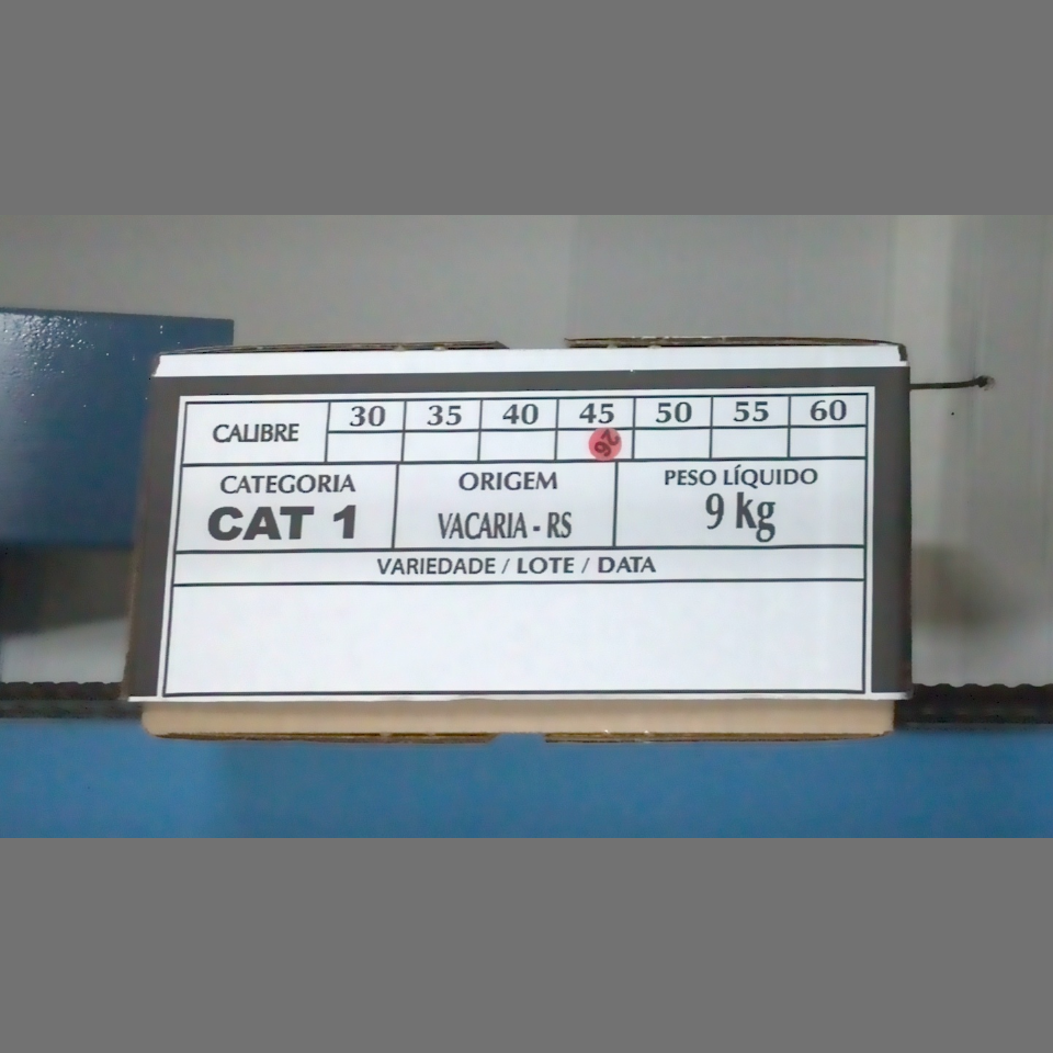 Candidata do calibre · central · 960 utilizado na inferência