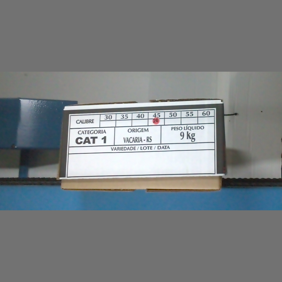Candidata do calibre · central · 960 utilizado na inferência
